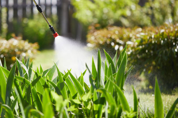 Tamper-Resistant Bait Stations for Rodents in New Paris