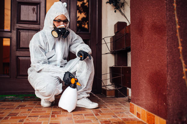 Attic and Crawl Space Rodent Treatment in New Paris