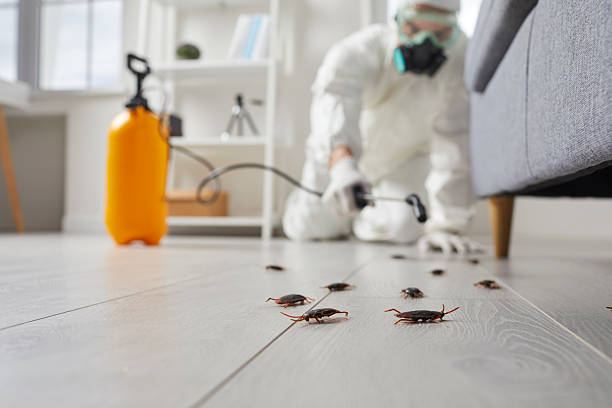 Commercial Rodent Management in New Paris